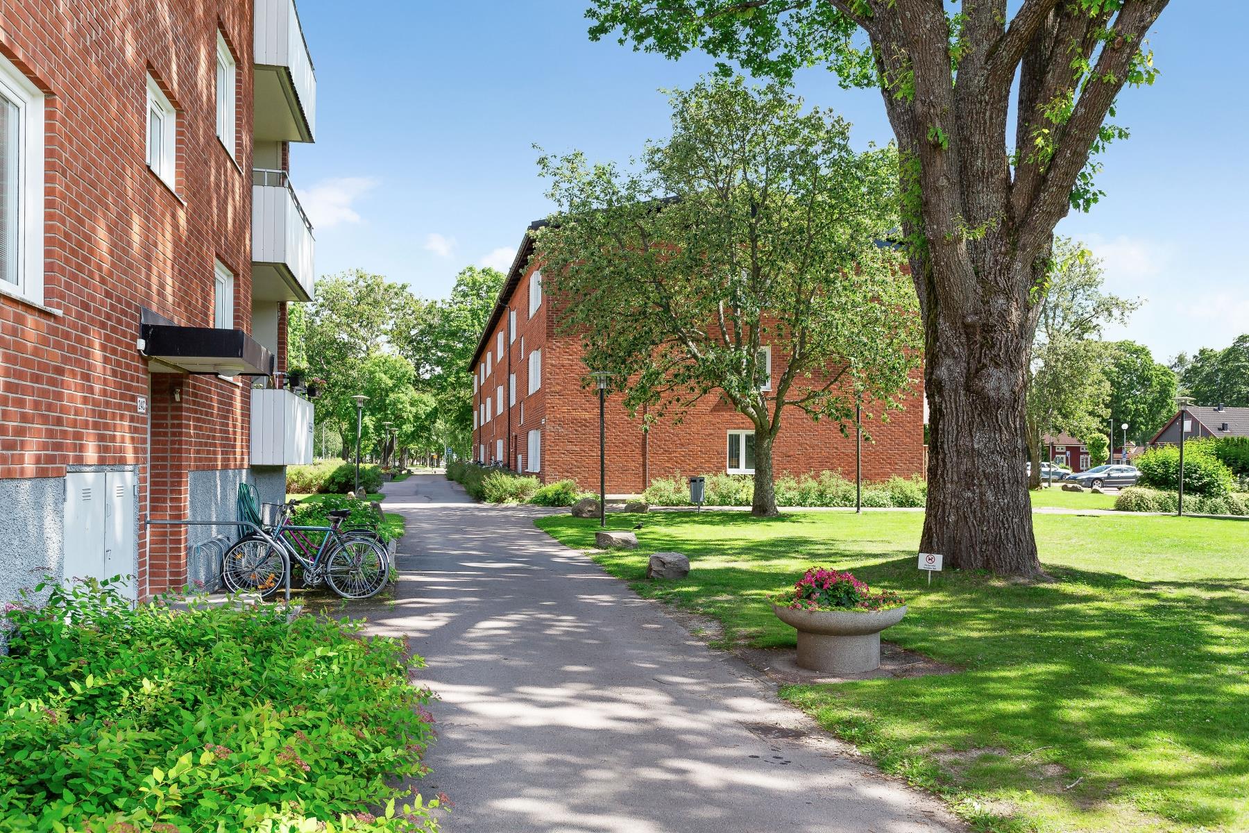 Trevlig 1:a i markplan!