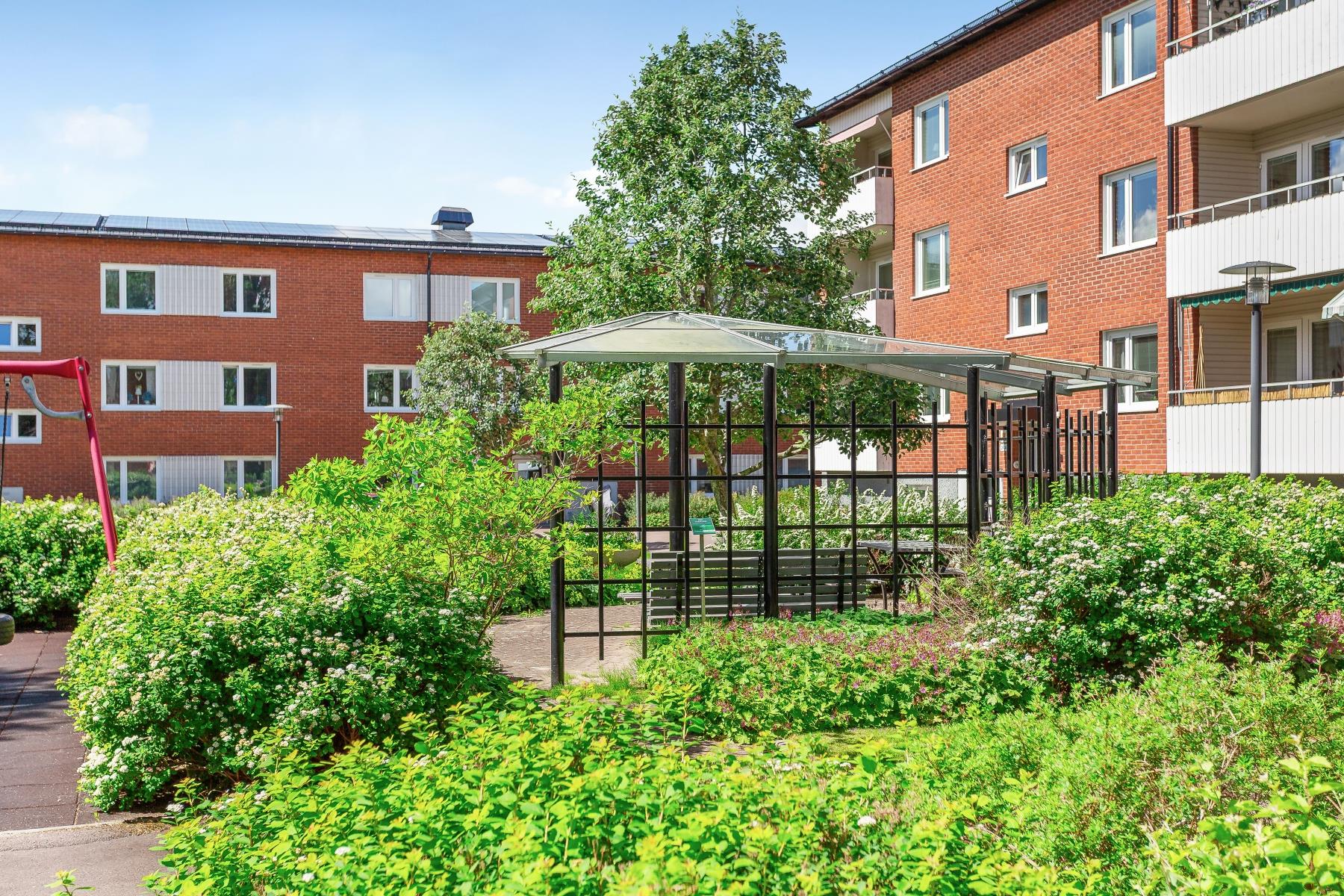 Trevlig 1:a i markplan!